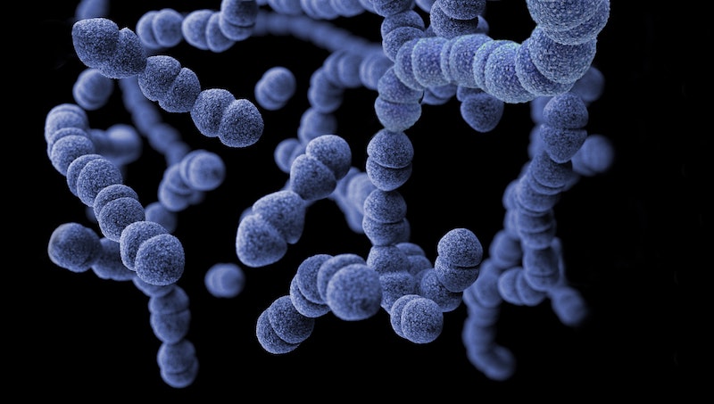 Kismamákat fenyegető fertőzések: a Toxoplasmosis :: Intiminfekt